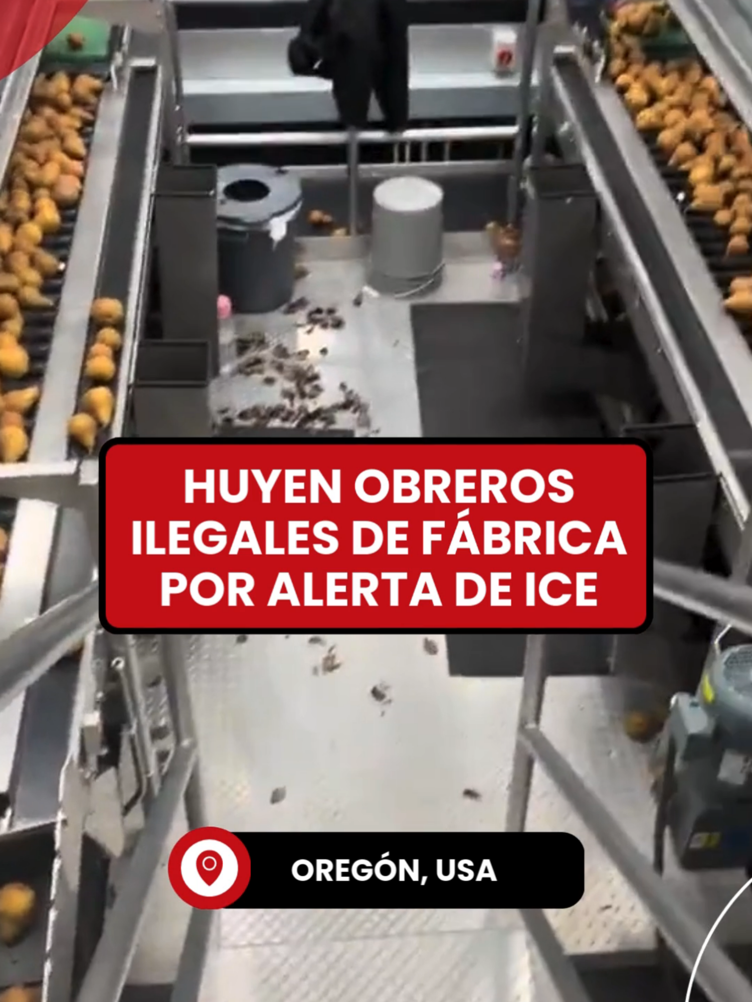 🔴  Se viraliza un video de una fábrica de Oregón, donde empleados migrantes dejaron su puesto de trabajo tras ser informados de un inminente allanamiento por parte del ICE. La alerta generó un paro en la producción, lo que afectó significativamente las operaciones de la empresa.