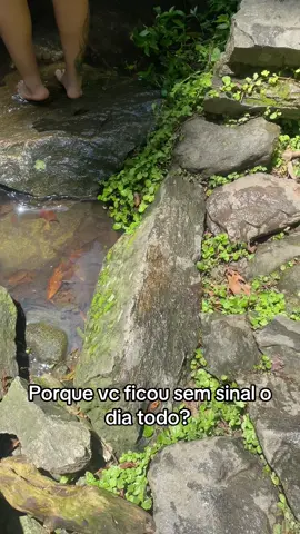 🍀🪬 #natureza #cachoeira #paz #energia 