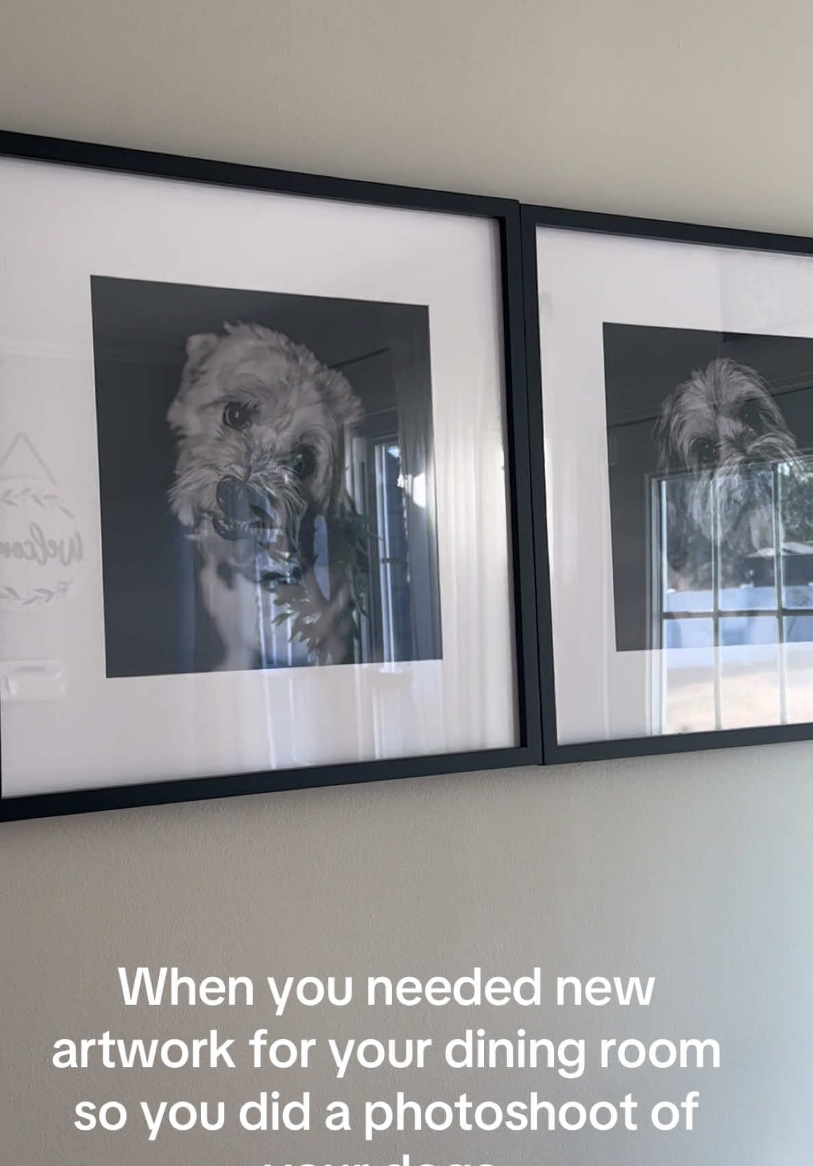 This is your sign to photograph your puppy squad and hang them on your wall.  Each photo is a personality pic  #fyp #dogsoftiktok #dogmom #furbaby #blackandwhitephotography #dogs 