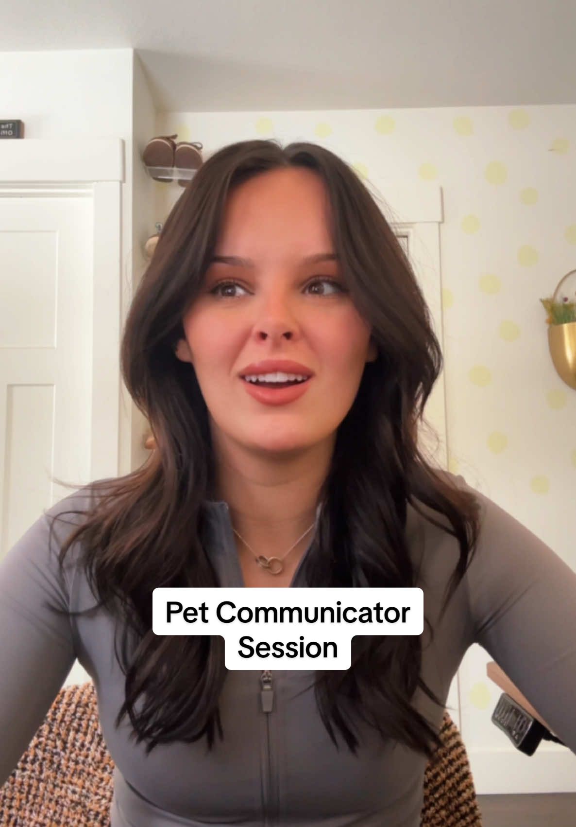 This was FASCINATING!  Comment if you want to hear parts of Puka’s session, my other cat 🐈✨ #cat #creatorsearchinsights #pets 