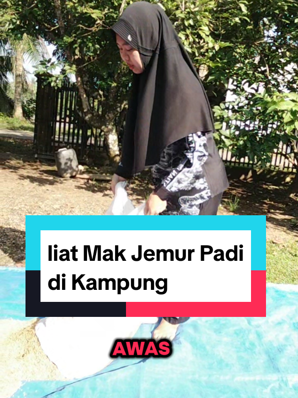 Mau berangkat, Ayah dan Mak mau jemur padi, kita liatin dulu. ini perdana Istri dan anak liat padi dijemur sebelum nanti di olah dengan mesin untuk jadi beras. Peace #parenting #familyvlog #petani #padi #jemurpadi #petaniindonesia