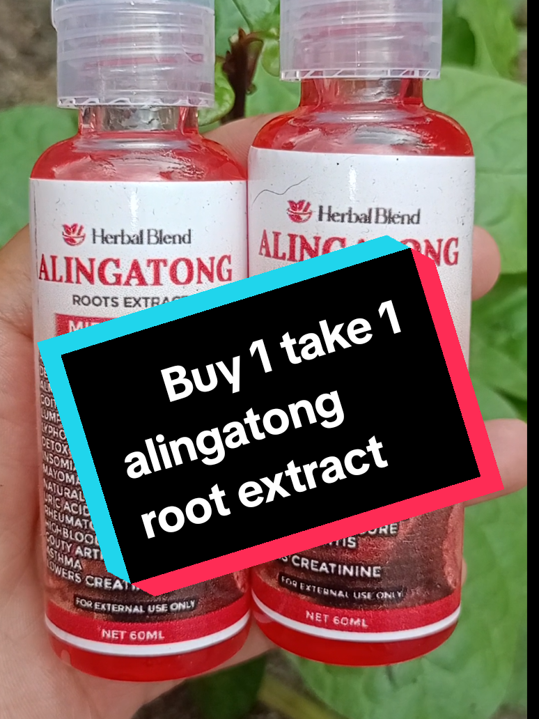 para sa mga  masakit na kasokasoan try nyo na itong panghaplas#herbalblendalingatongoil #alingatongrootextractoil #alingatong #massageoil #miracleoil #oil 