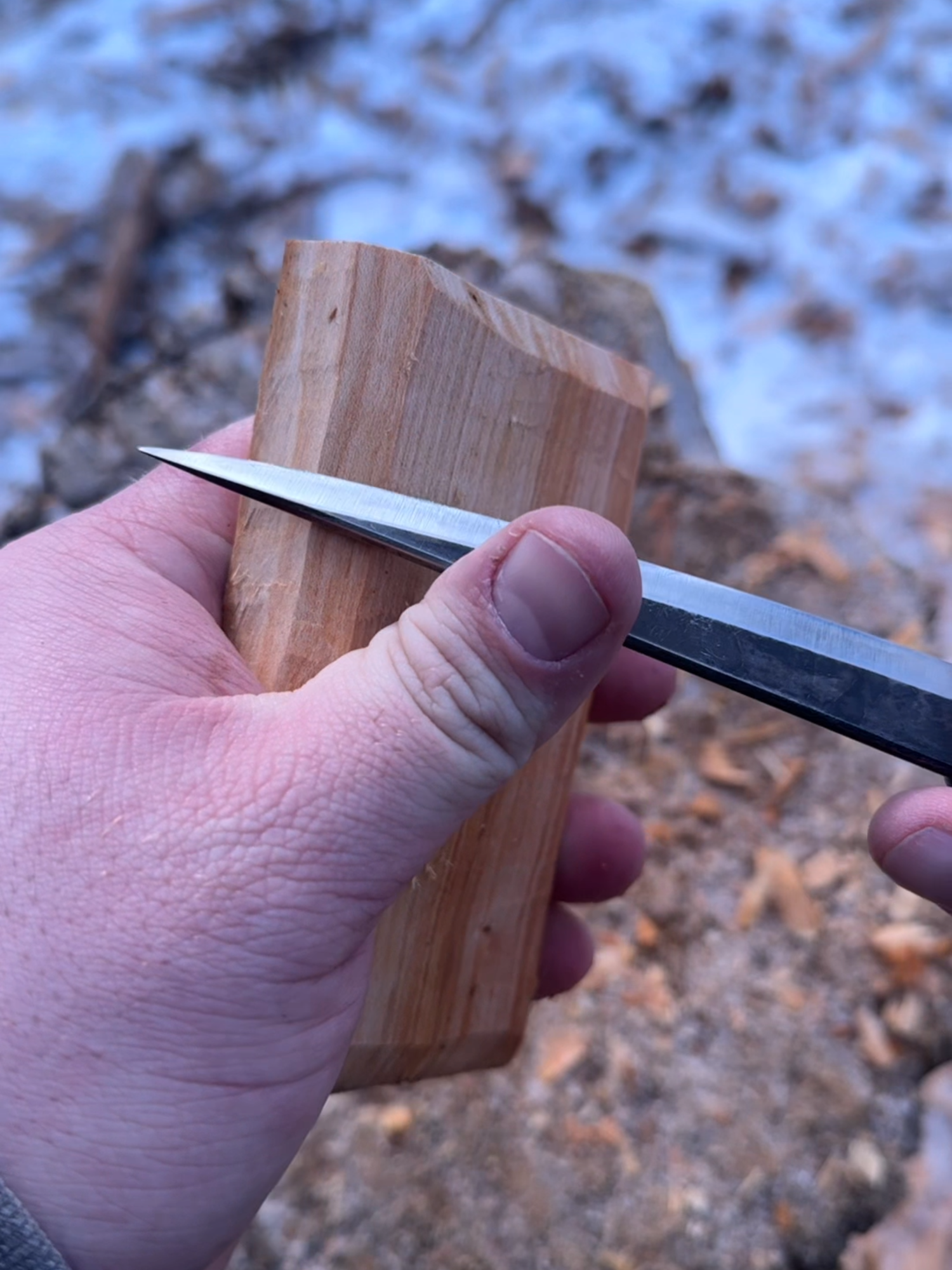 Wait, can you guess what I'm making? #woodcarving #woodworking #asmr #bushcraft #hobby #spooncarving
