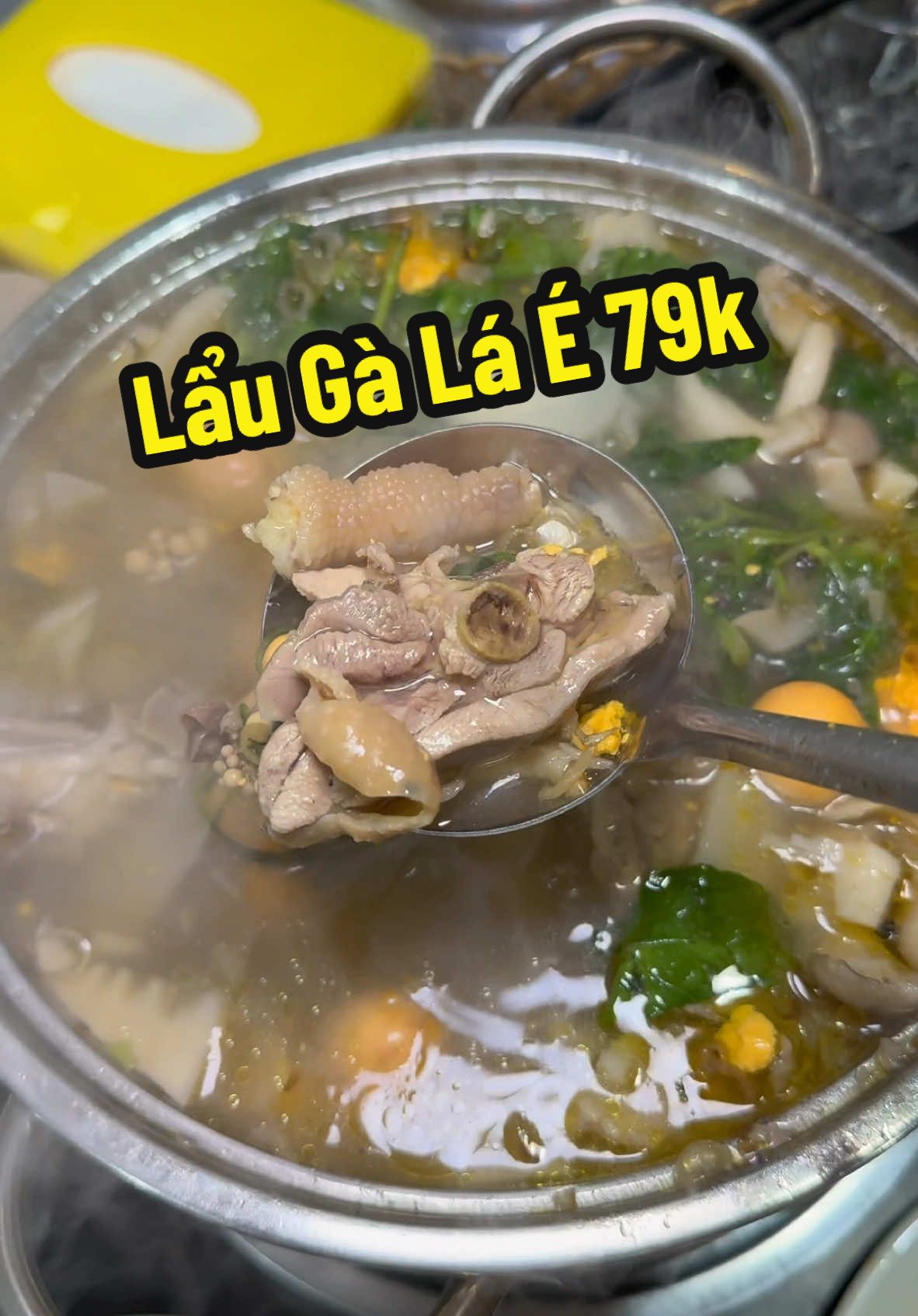 Lẩu gà lá é 79k ngon bình dân ngay trung tâm Đà Lạt#thodandalad#dalat#laugalae#laugadalat#lauga#laugalaedalat# 