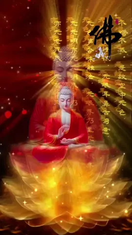 phật quang phổ chiếu , chiếu tan vô minh , chiếu sáng trí tuệ #fyp  #vouu #phatphapnhiemmau #phatphap #tamlinh #xuhuong #tamthanhtinh #hinhnendong 