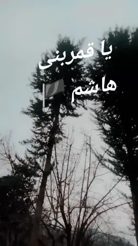 یا قمربنی  ھاشم 🏴