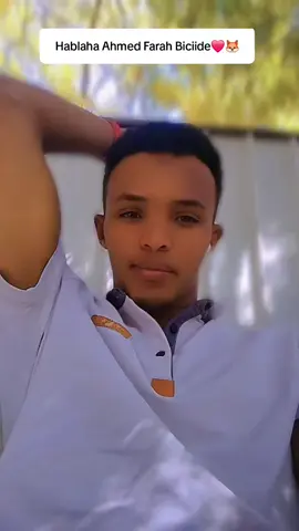 Hablahaygiii❤️🦊#somalitiktok12 