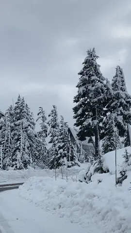 #paratii #🥰 #hermosopaisaje #omg #for #nevado #nieve #gr #paratiiiiiiiiiiiiiiiiiiiiiiiiiiiiiii #bonitacancion #haveyoueverseentherain 