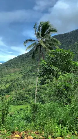 Nature heals everything. 🍃⛰️🫶🏻☁️ #fyp #bundok #provincelife #naturetrip #foru #nature 