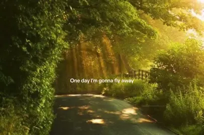 #creatorsearchinsights #song #oneday #lyric 