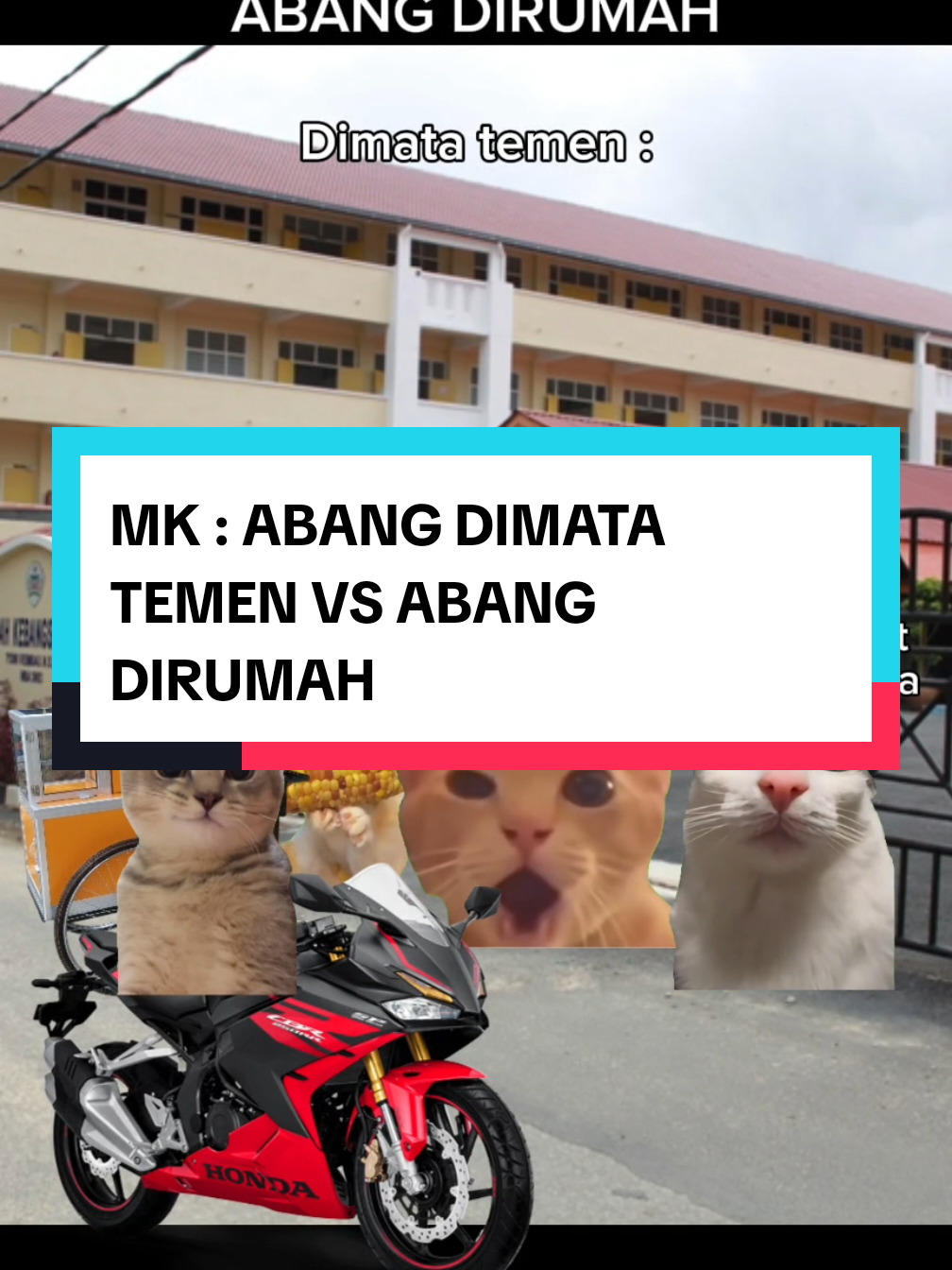 valid? #fyp #foryoupage #memecat #memekucing #viral #trending 