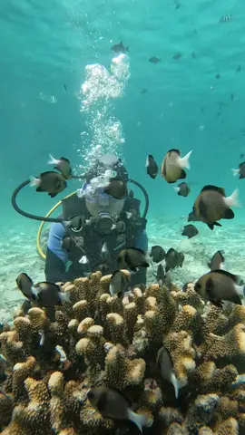 Laut indonesia bagian barat, pulau rubiah-sabang, 27 Januari 2025 #CapCut #sabangisland #solotraveler #pulaurubiahsabangaceh 