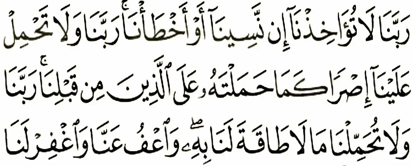 #🍃DY🍃 #بسم_الله_الرحمن_الرحيم #سبحان_الله_وبحمده_سبحان_الله_العظيم #الهم_صلي_على_محمد_وأل_محمد #🇦🇫 