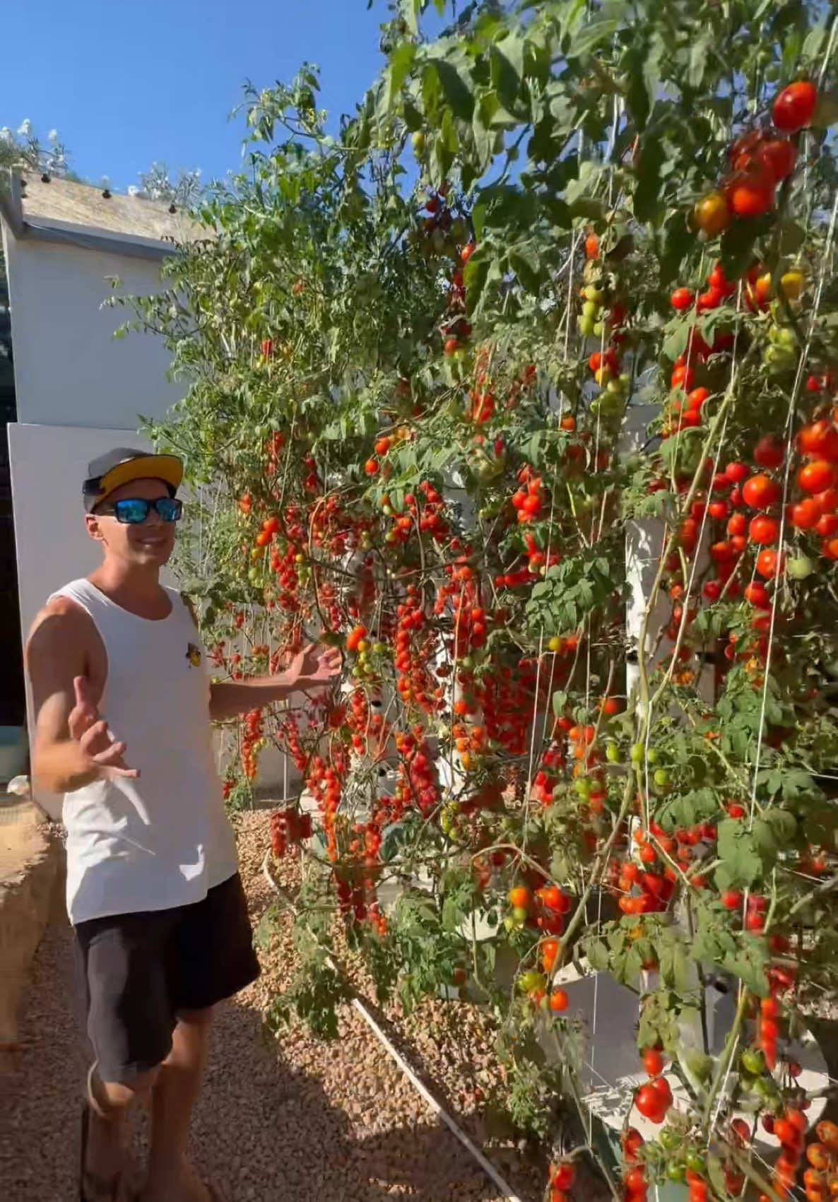 And there we go! #farming #agriculture #gardening #aeroponics #verticalfarming #hydroponics #vegetables #soilless