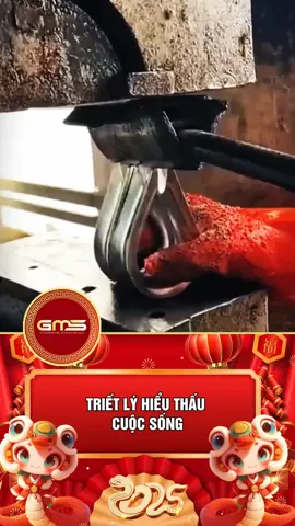 TRAIDOI #cauchuyencuocsong #baihoccuocsong #lờidạycổnhân   #triếtlýcuộcsống   #trietlycuocsong   #sachnoihay   #audiobook #sáchnói #sách #luathapdan   #phatgiao #cổnhândạy 
