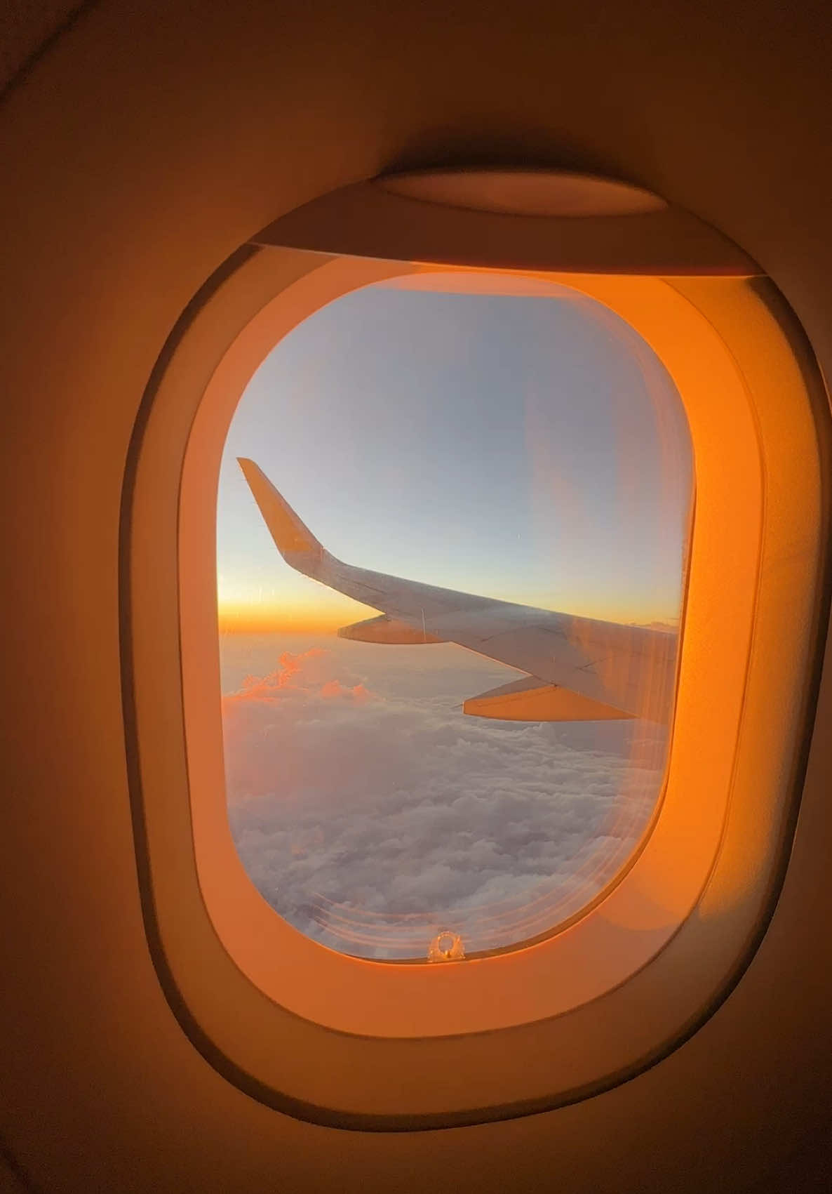 the feeling of watching the sunrise/sunset from a plane >>