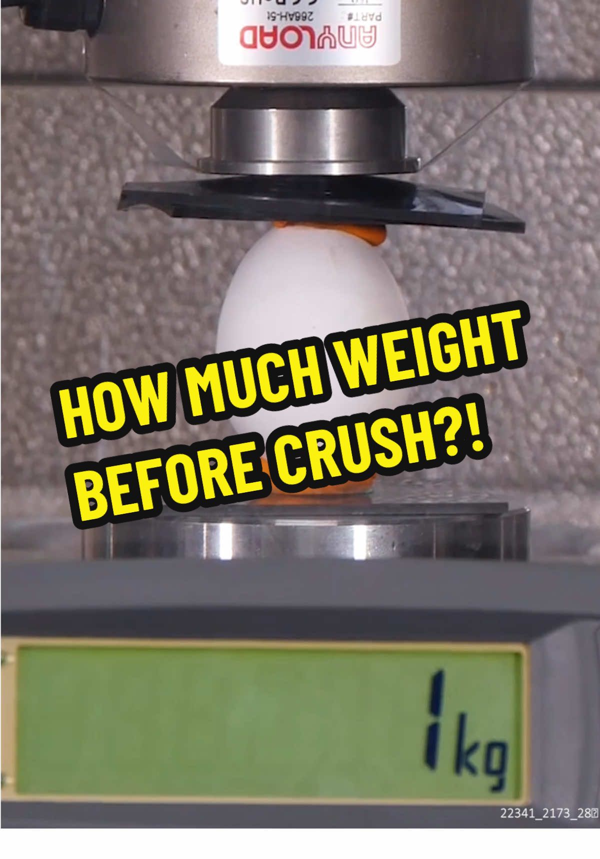 How much weight can an EGG 🥚 hold? #asmr #crush #hydraulicpress 