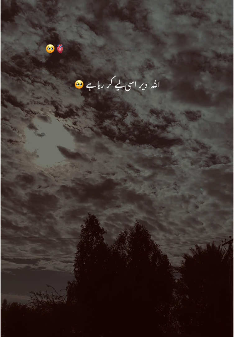 تا کہ وہ تمہاری آواز کچھ دیر اور سنے 😊❤️#aesthetic #poetry #poetrystatus #grow #account #foryou #foryoupage #1million #rehann_vibe 