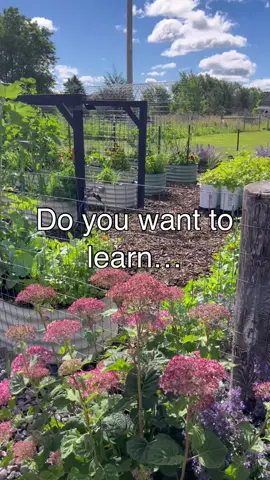 It is so fulfilling to teach my children, my family and complete strangers on the internet how to garden.  If you’re here to learn, welcome. If you’re here to watch, welcome. If you’re here to get inspired, welcome.  I’m truly happy your here ❤️🌱 What do you want to learn this year? #gardening #midwestgarden #garden #raisedbedgarden #trellisgarden #raisedbeds #zone4gardening #howtogarden #gardeningvideos #gardeningforbeginners #gardenlove #gardenconsultant #gardeninfluencer #gardeningtiktok #gardentok #kitchengarden 