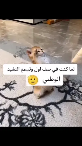 #الوطن ثم الوطن #الشعب_الصيني_ماله_حل😂😂 #اكسبلور 