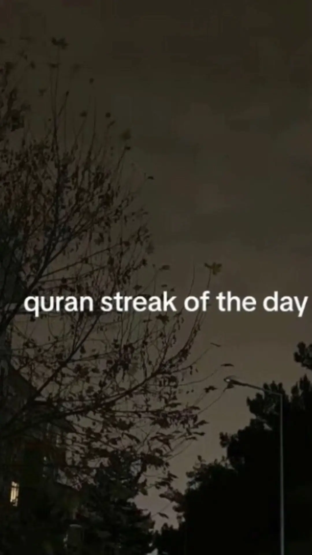 #fypage #fyp #muslimtiktok #foryoupage #quran 