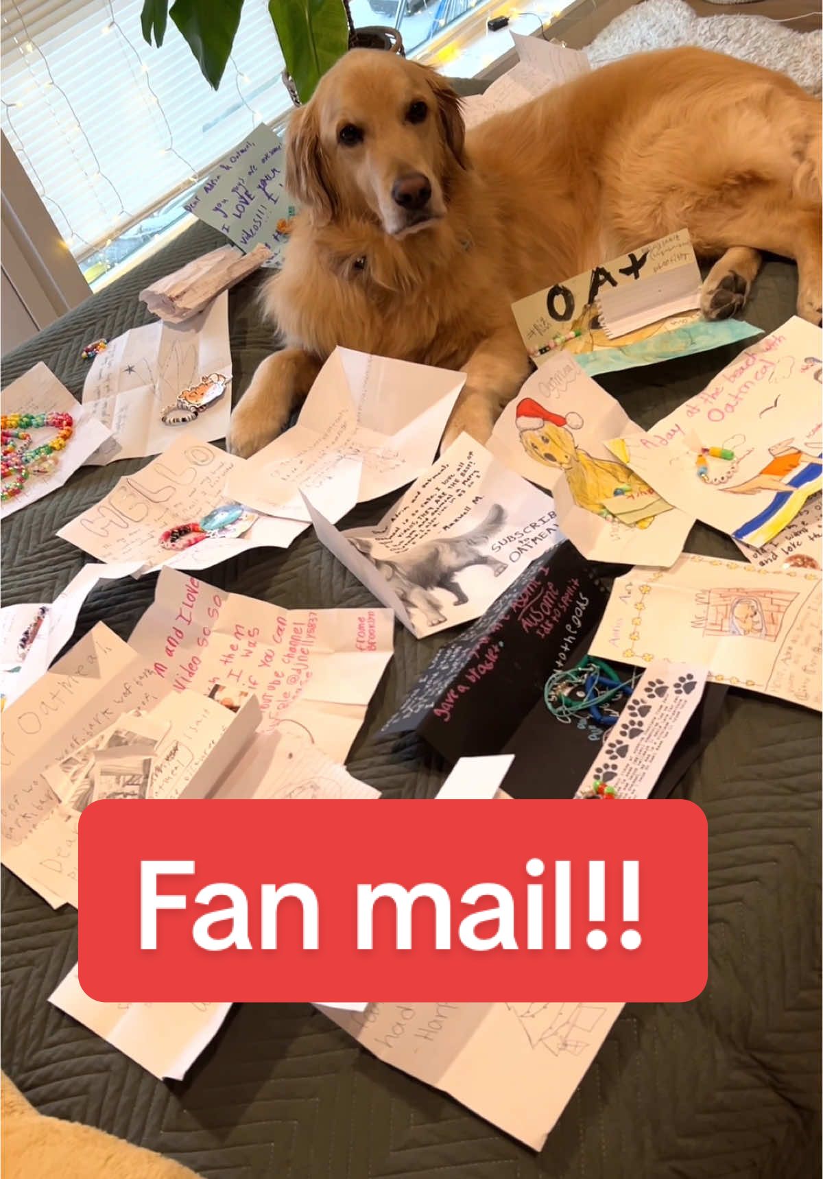 💌 Adria & Oatmeal 207 South McDowell Blvd #1050 Petaluma, CA 94954 #fanmail #unboxing 