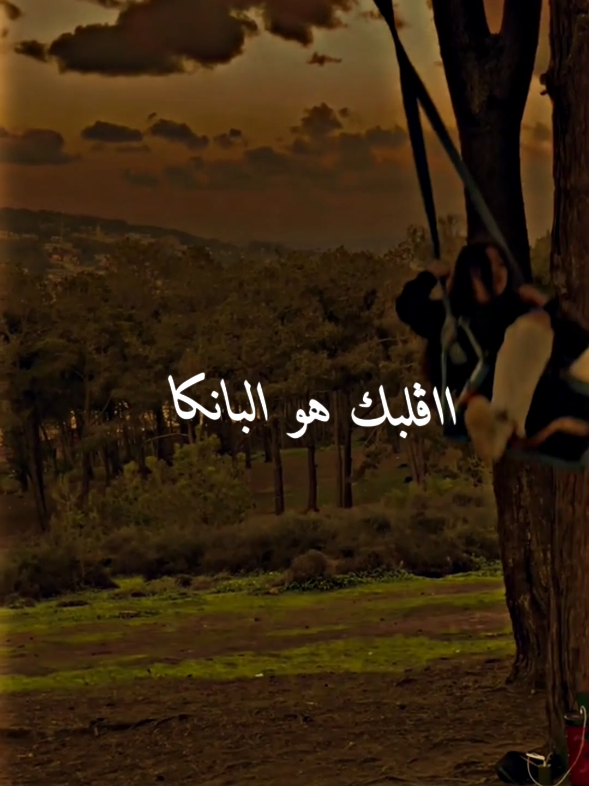 ✨🥀ڨلبك هو البانكا . . . . . . .#الشعب_الصيني_ماله_حل😂😂 #typ #dz #algeria #virale #lyricsmusic #oran31 #شاشة_سوداء🖤 #viral_video #algerienne #paroles #foryoupag #music_algerois 