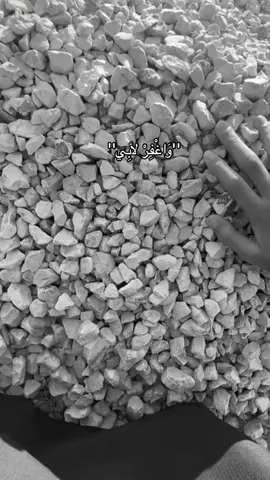 اللهم ارحمهما كما ربياني صغيراً#اللهم_صلي_على_نبينا_محمد #قران_كريم #تلاوة_خاشعة ##قران_كريم 