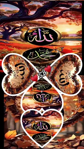 #♥️sb♥️🤝 #allah❤️ #islamic_video #muslimtiktok #fypシ #jummahamubarakstatus🕋🤲 #plzunfreezemyaccout🙏🙏🙏🙏 