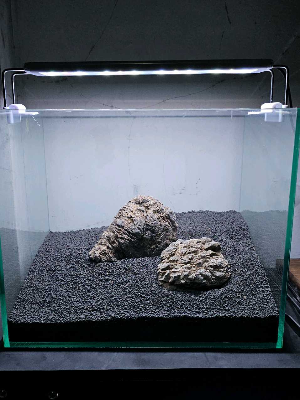 Jadi gini cara menyusun substrat aquascape. Kalo kalian biasanya pake substrat apa untuk aquascape? #Aquascape #Lowtech #LowtechAquascape #Aquapicnic #bakteristarter #soil #pupukdasar #pumice #rumahbakteri #dasaranaquascape #dasaran #SubstratAquascape #Substrate #AquascapeIndonesia #Aquascaper #Aquascaping #AquascapeTutorial #AquascapeTips #AquascapeInspiration #cryptocoryne #alternanthera  #glossostigmaelatinoides #glossostigma #aquascaper 