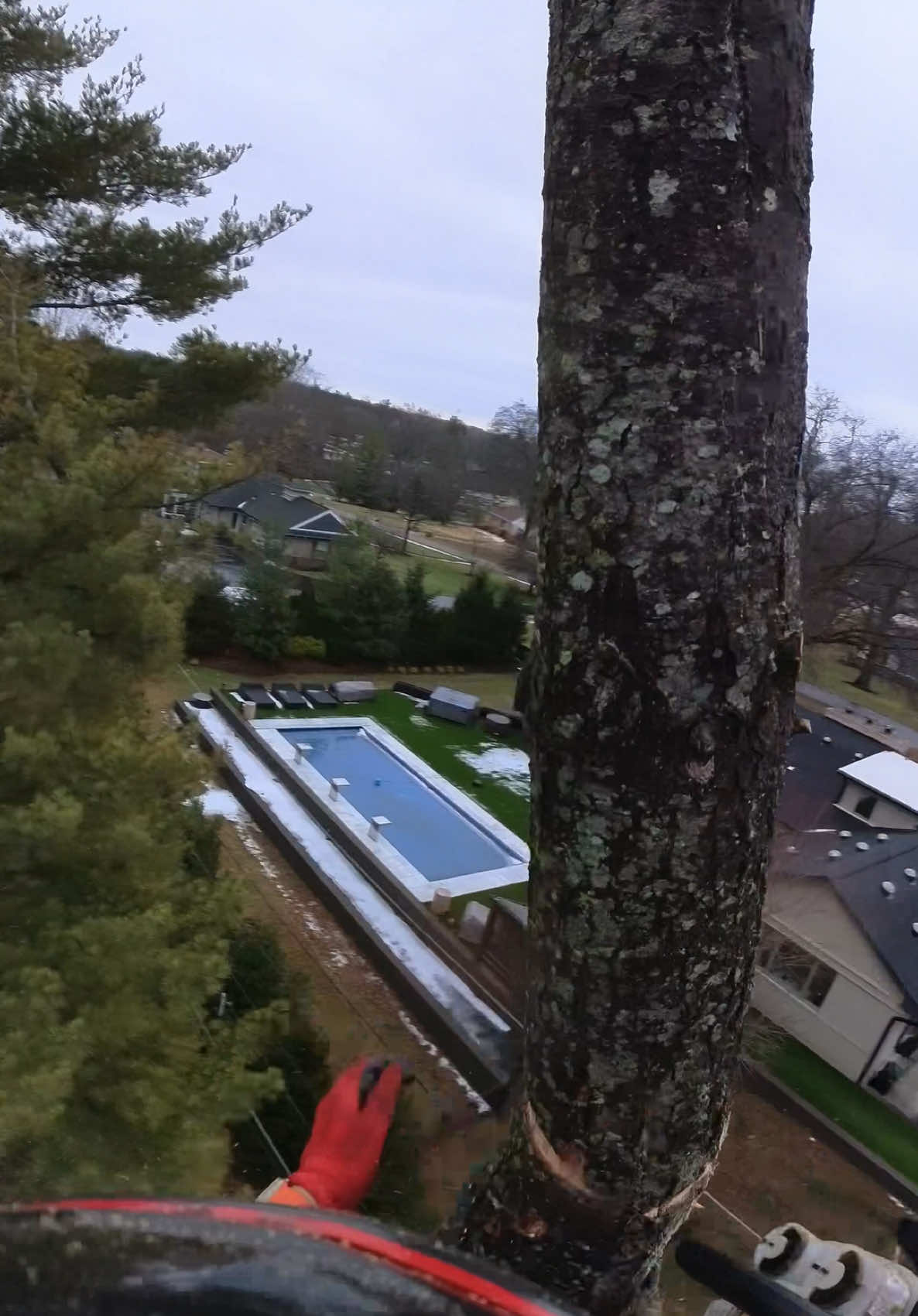 #treework #ripsaw #arbortec 🌳🌲🤙🏼