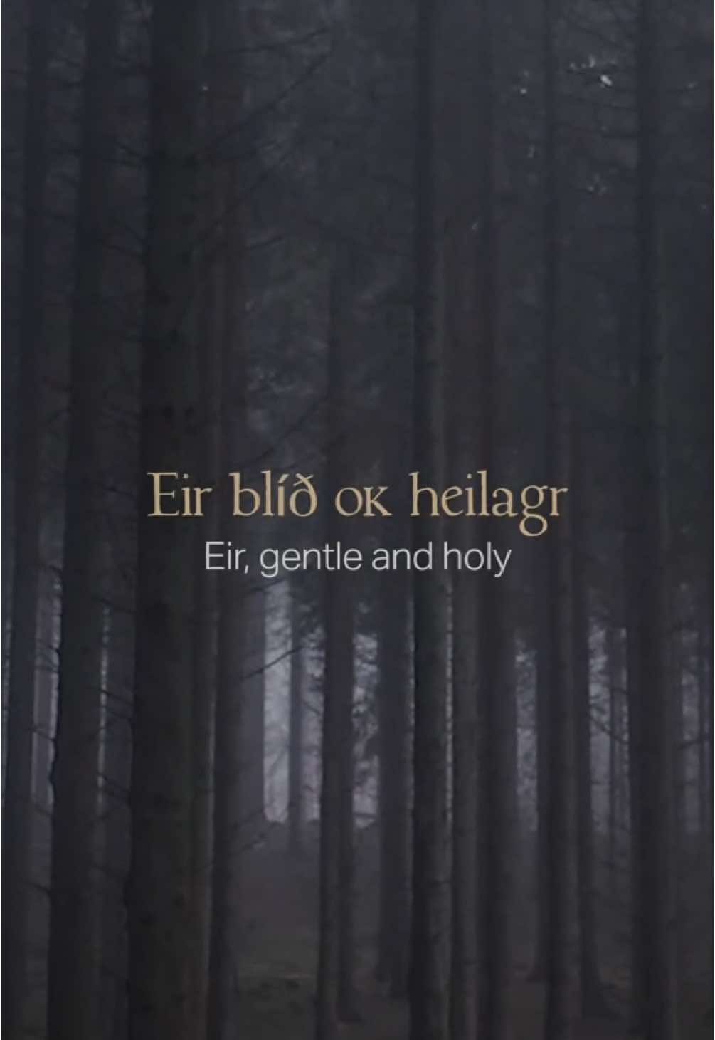 Did you check out my new song Eir already? I would love to hear your thoughts! It’s available everywhere now. #gealdýr #eir #norse #norsemythology #ambient #ambientmusic #nordicfolk #darkfolk #pagan #pagansoul #nature #healing