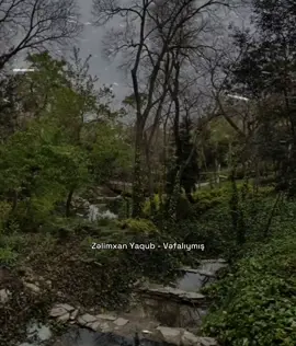 Vefaliymis