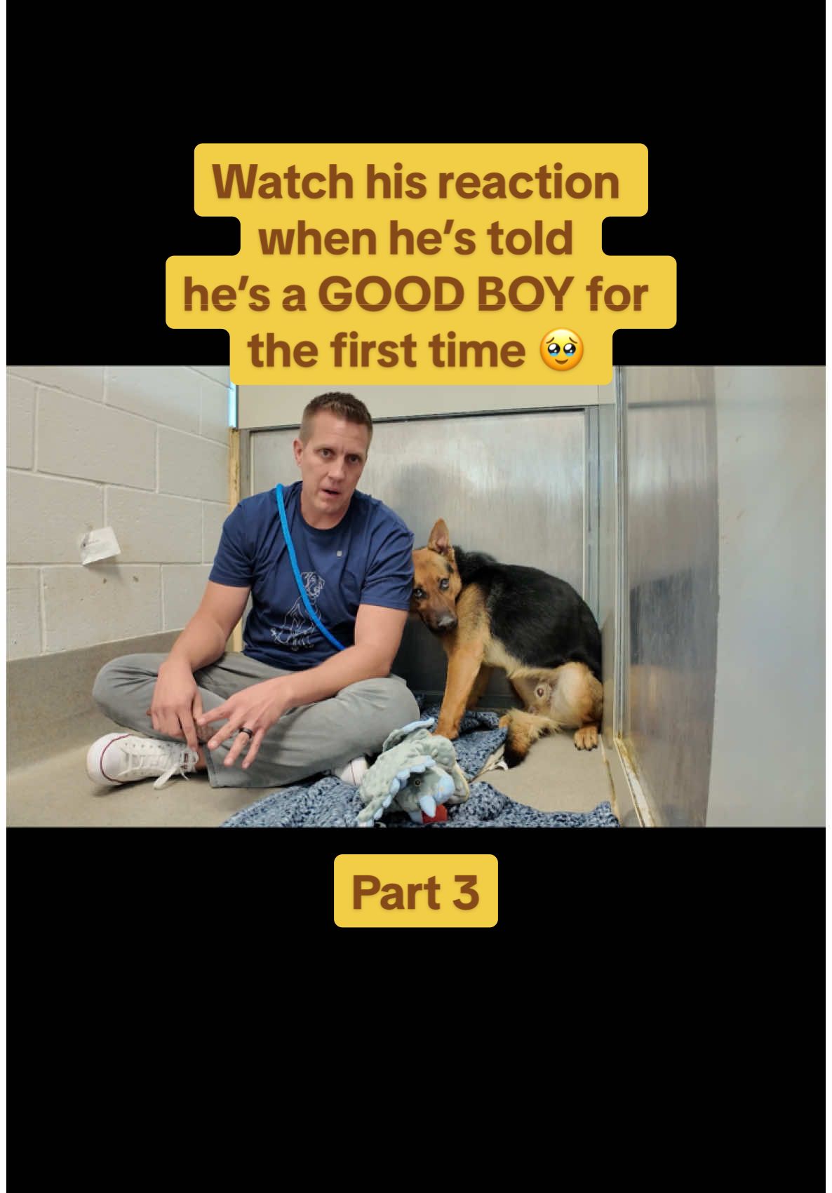 Watch his reaction when he’s told he’s a GOOD BOY for the first time 🥹 | Part 3 (final) #fyp #foryou #animalshelter #germanshepherd #shelterdog #dogs #adoptdontshop #rescuedog 