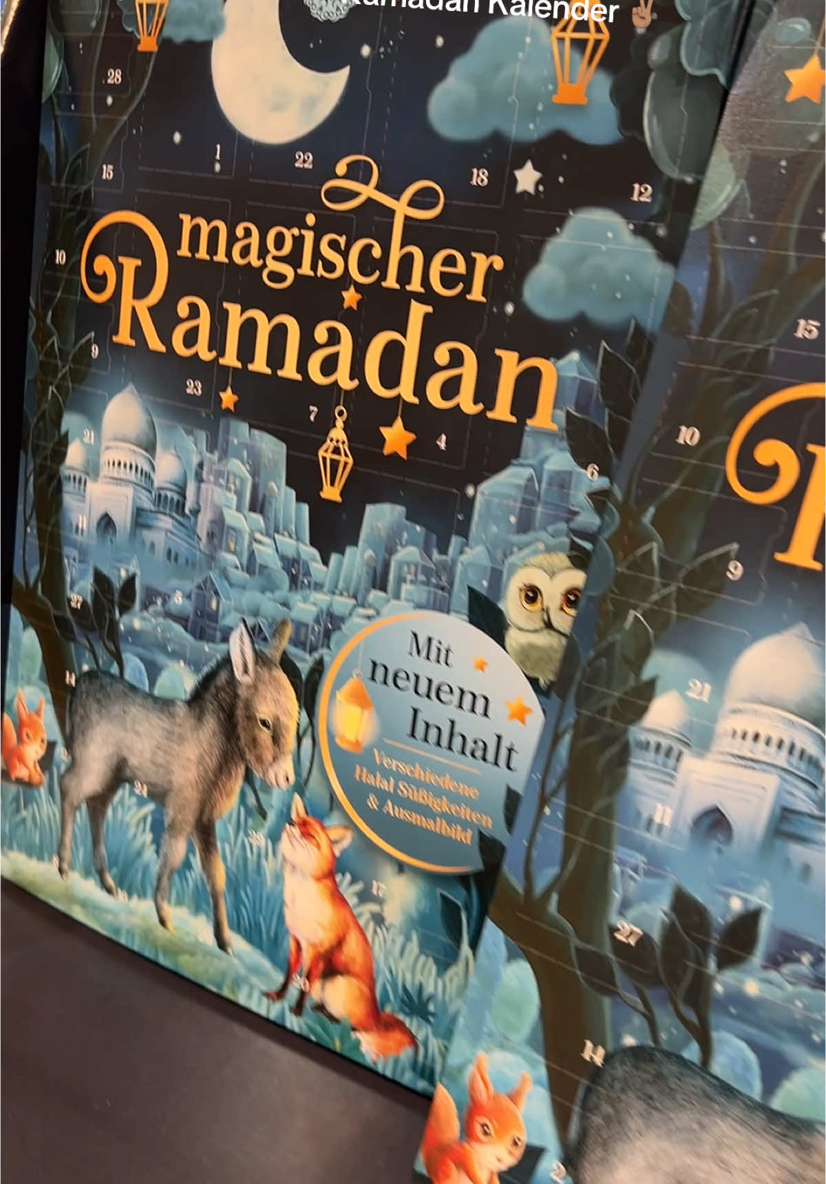 Shopping in Germany Ramadan Kalender 🇩🇪 #celinag142 #celinag142 #punjabitiktok 