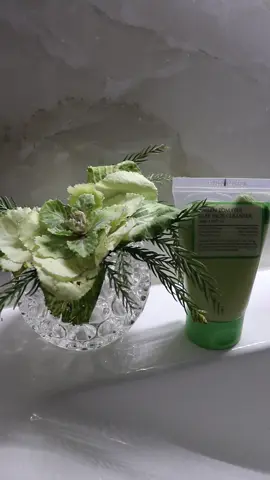 We start February with prepared skin with @fully___global <3 Fully Green Tomato Clay Mask Cleanser with mint pieces on it calms and CLEANS your pores like no other. The afterwards feeling is on another dimensions as well. Highly recommended if you're looking for a cleanser with clay consistency that WORKS this well. #FullyGreenTomato #PorefectMask #kbeauty #skinproducts #cleanser #skincareroutine #winterskincare #winterskincareroutine