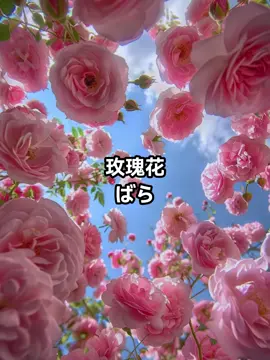 #日语 #日语入门 #学日语 #日语教学 #日语学习 #日语口语 #日语零基础 #日语轻松学 #日语高考 #日语考级