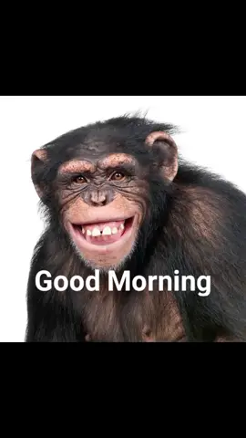Send moto sa Friends Mo #hahaha😂😂😂 #fyp #fyp#funny #funnyphoto #fyppppppppppppppppppppppp #goodmorning