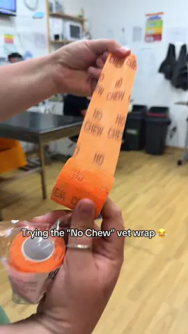 Oakley was completely unfazed 😂 Just wanted to eat it! #funny #funnyvideo #humor #humorviral #vetmed #vetmedicine #vetmedlife #vetmedfun #vet #vetlife #veterinary #companionanimalvet #vetnurse #creatorsearchinsights 