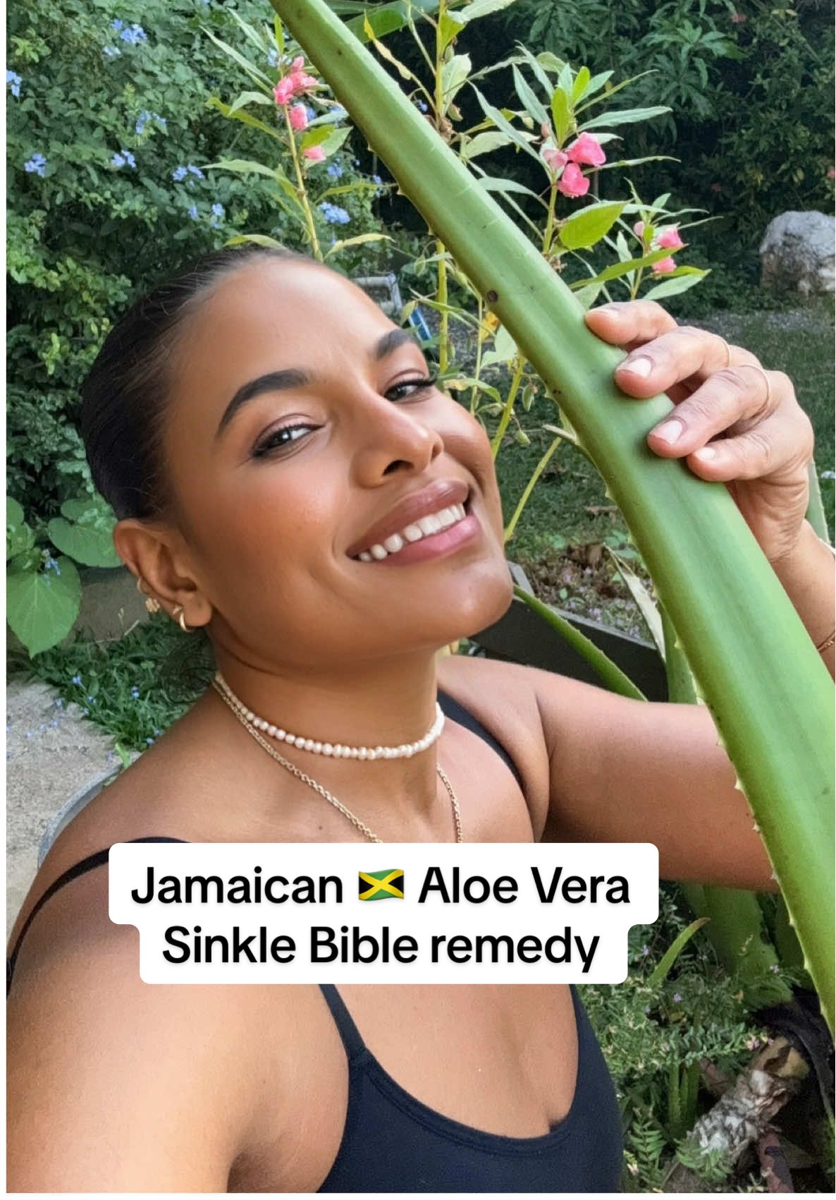 Jamaicans call Aloe Vera Sinkle Bible 🇯🇲 this plant is good for everything ingested or topical except to give you strong back don't let the slime full you 🤣. Can you stomach it?  #jamaica #jamaicans #aloevera #aloeveraskincare #naturalremedy #jamaicatiktok #guthealth #jamaicantiktok🇯🇲viral 