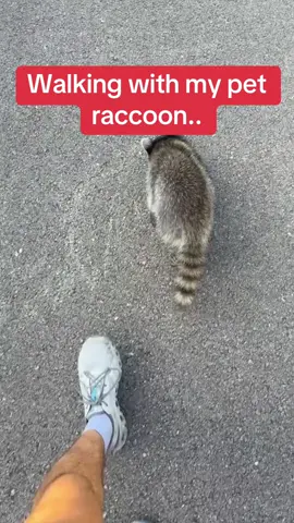 He knows where to go! #Memezar (WaylonTalksAlot via Collab)