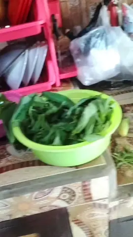 Saksi hidup. perasaan baru kemarin kita aktif ngabolang, sekarang kamu udah nikah udah punya anak 2 juga, dari usia 3th katanya mama apak cerai, gak ada yang ku ingat tentang mereka, masa kecil hanya tentang bersamamu setiap hari, kamu siapa, bukan keluarga, tapi kamu ada di hatiku selamanya. kenapa sekarang kita begini, kita tidak menyangka, kemanapun nasib berjalan semoga kita berlabuh sampai surga, temani aku selamanya, dari awal hingga akhir 🫂