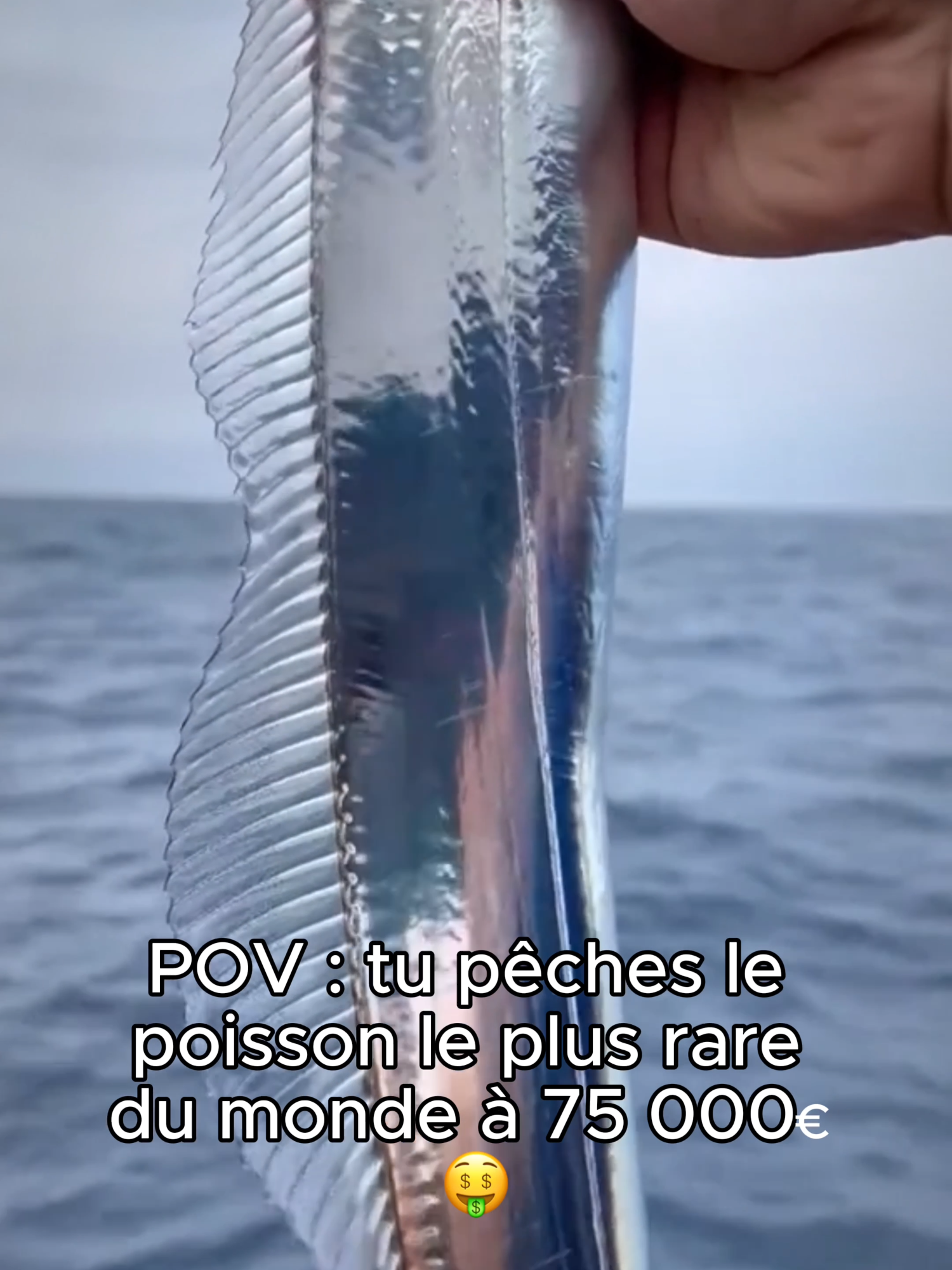 le poisson le plus rare du monde 😳 #poisson #mer #ocean #rare