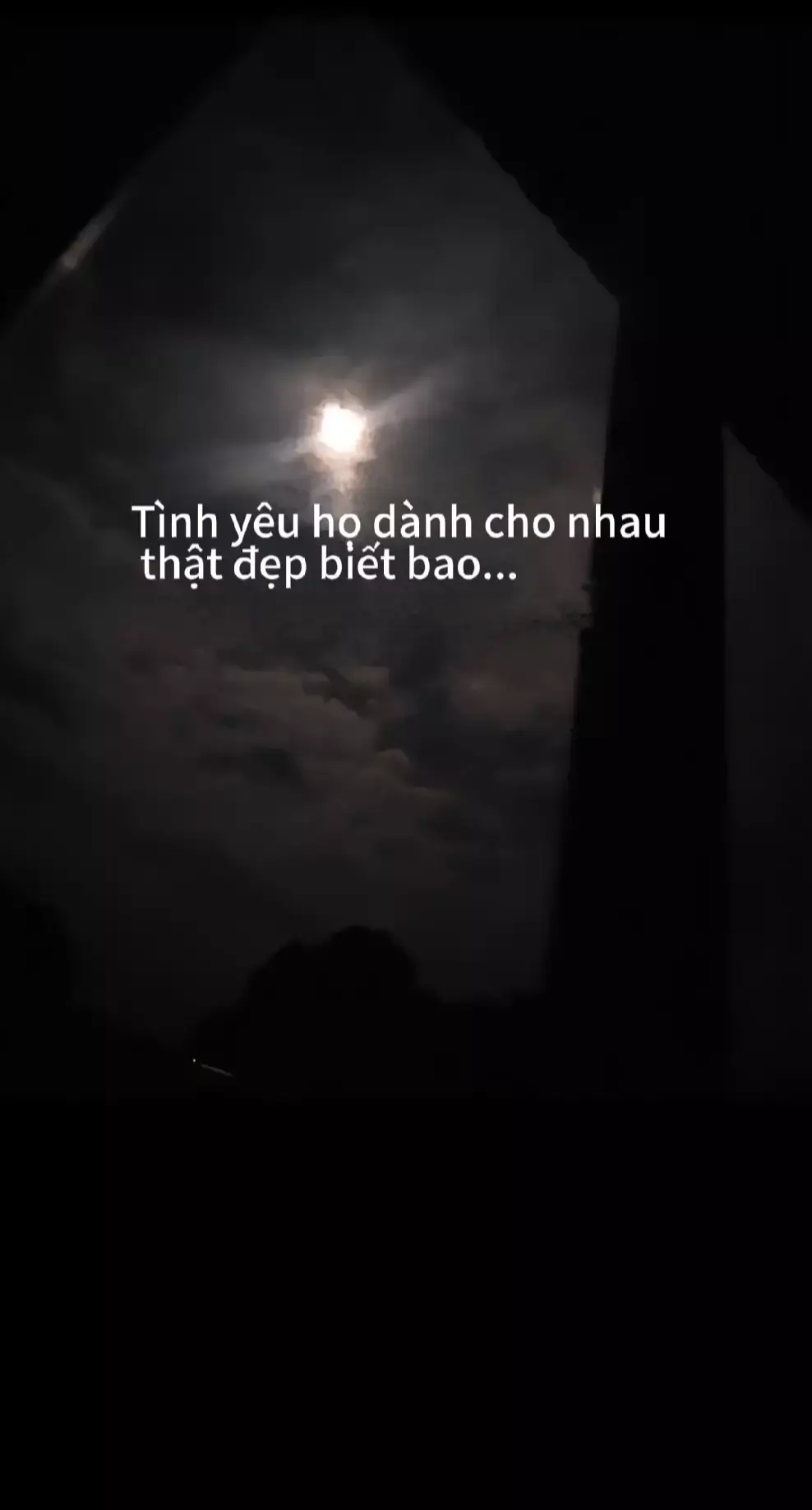 Tình yêu vĩnh cửu... #xuhuongtiktok #xuhuong #xuhuongdi 