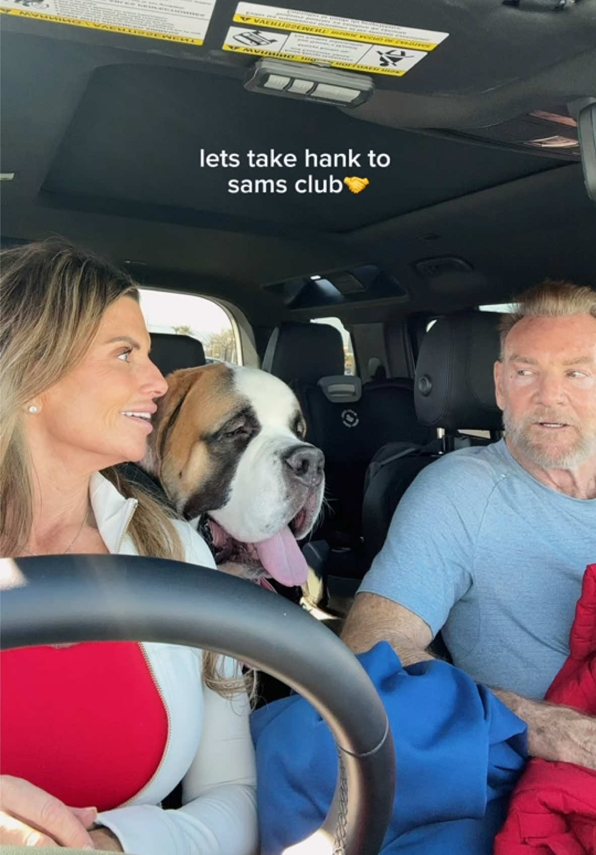 Hanks first time at Sam's club🥰🥹❤️  #stbernard #fyp #bigdog #family #MomsofTikTok #foryou #haul