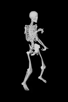 Dancing Skeleton #dancechallenge #6am #fyp #brainrot #skeleton