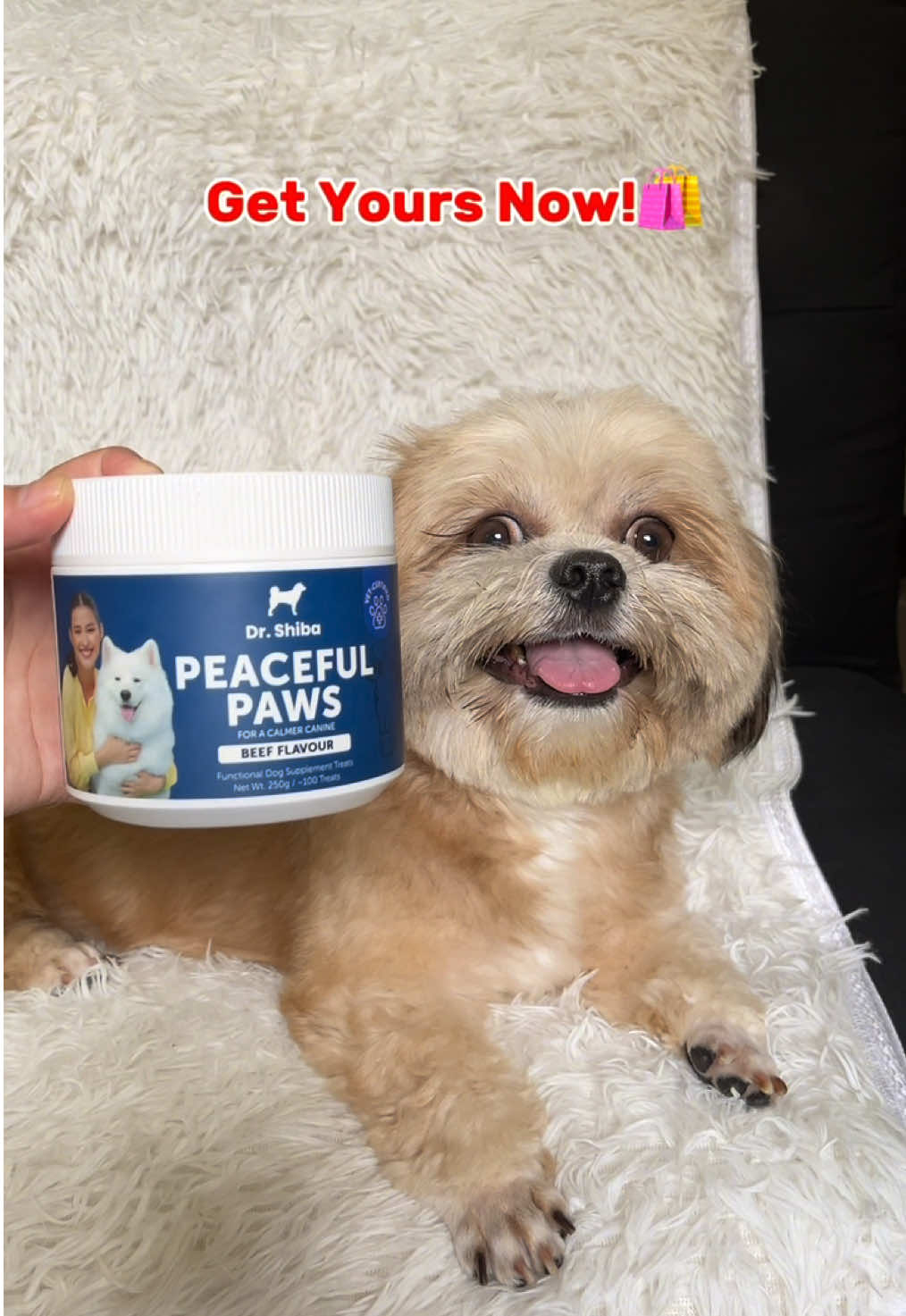 Dr. Shiba Peaceful Paws🐾 #drshiba #drshibafunctionaldogsnacks #drshibafoodsupplement #drshibapeacefulpaws #calmingtreats #fyp #dogsoftiktok #PetsOfTikTok #furbaby #foryoupage #fypage #furmom #furmomlife #furdad #petparent #furparents #furfriends #petlovers #tiktokshopfuntasticpayday #tiktokshopph22 