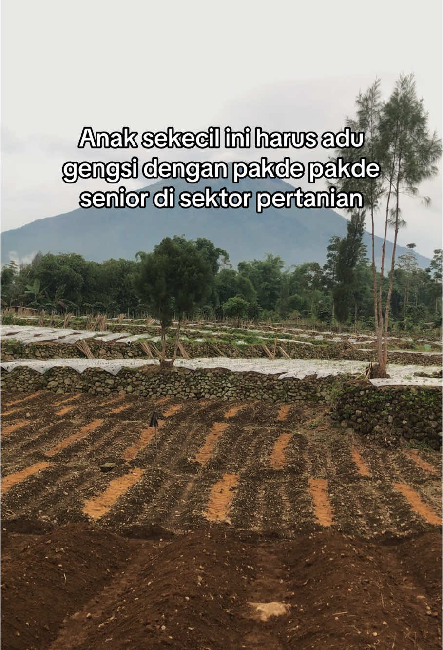 Info pakde2 sk nawani “karo anakku wae” 🤣 #fyp #petanimuda #anakpetani #petanimilenial #petanimodern #petaniindonesia🇮🇩🇮🇩🇮🇩🌿🌿 #tascoboy 