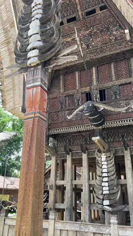 Tongkonan Layuk Kesu’. Di dirikan oleh Manurun Dilangi’ Puang Ri Kesu’ dan keturunannya menyebar ke seluruh wilayah Kesu’. #toraja #tanatoraja #torajautara 