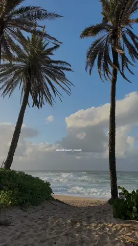 unmatched vibes  #hawaii #islandlife #thingstodoinhawaii  #beachaesthetic #pinterestaesthetic #plage #oahu #sunsetbeach #honolulu 
